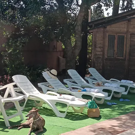 Casa La Maestra La Muela (Algodonales)